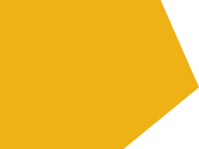 Проект в подарок